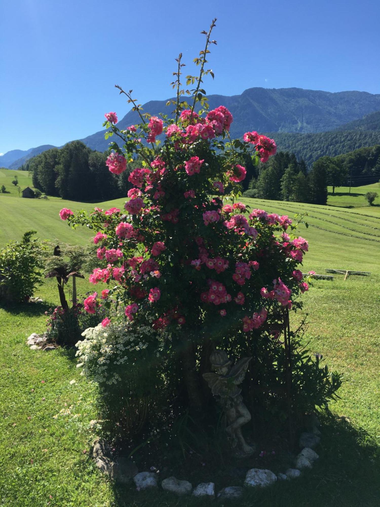 Maislbauer Sankt Wolfgang im Salzkammergut Екстер'єр фото